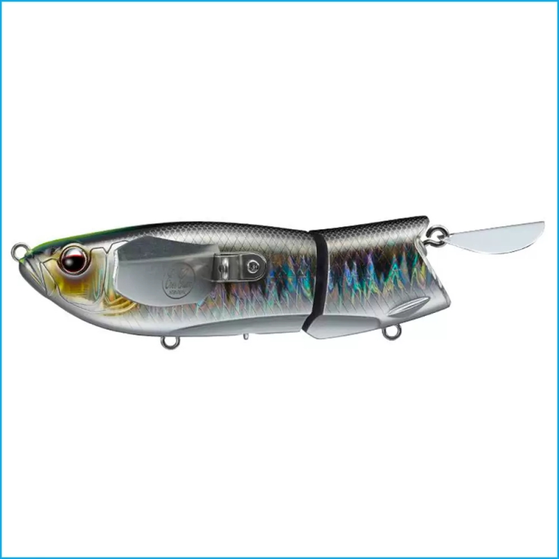 EVERGREEN OTTER CRAWLER KIKUMOTO HASU 642