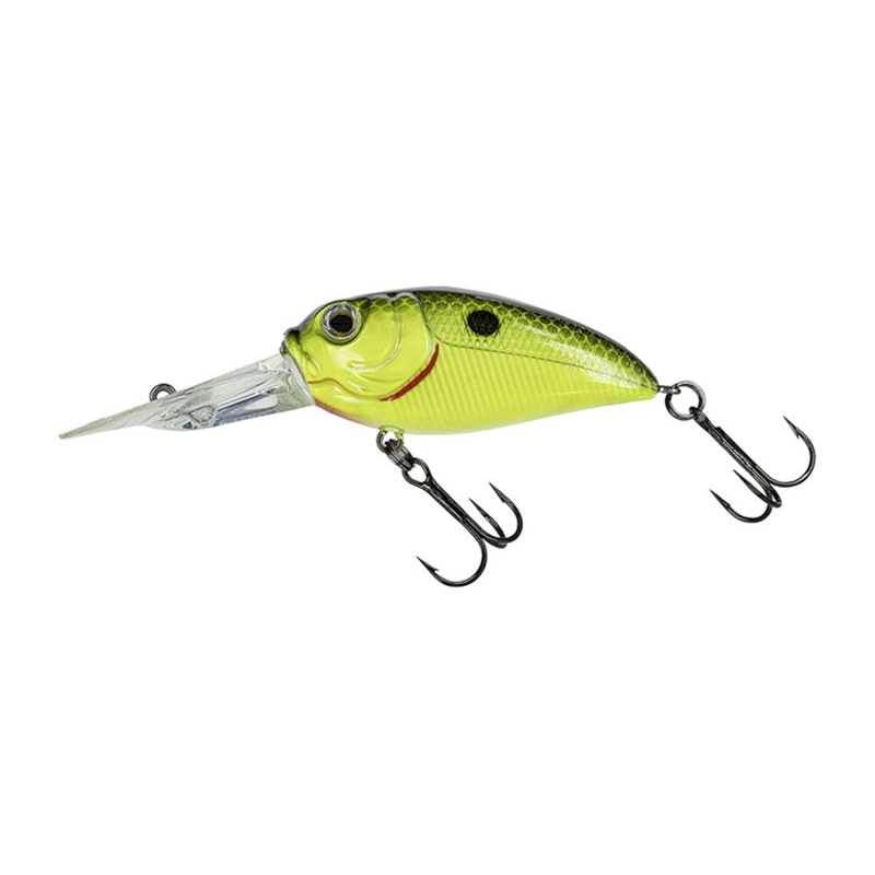 MOLIX SCULPO DR SILENT YELLOW BLACK BACK 589
