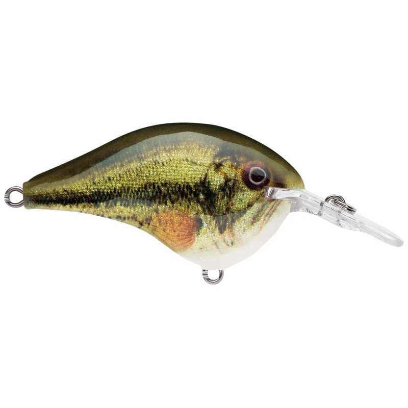 RAPALA CRANKBAIT DT6 BLACK BASS