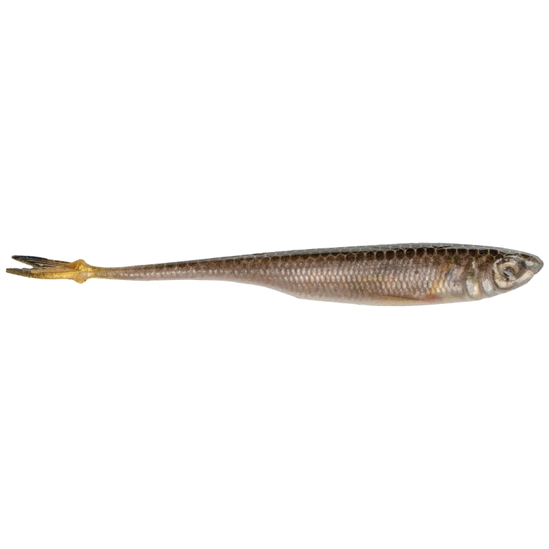 6TH STROBE MINNOW 4" LIVE...