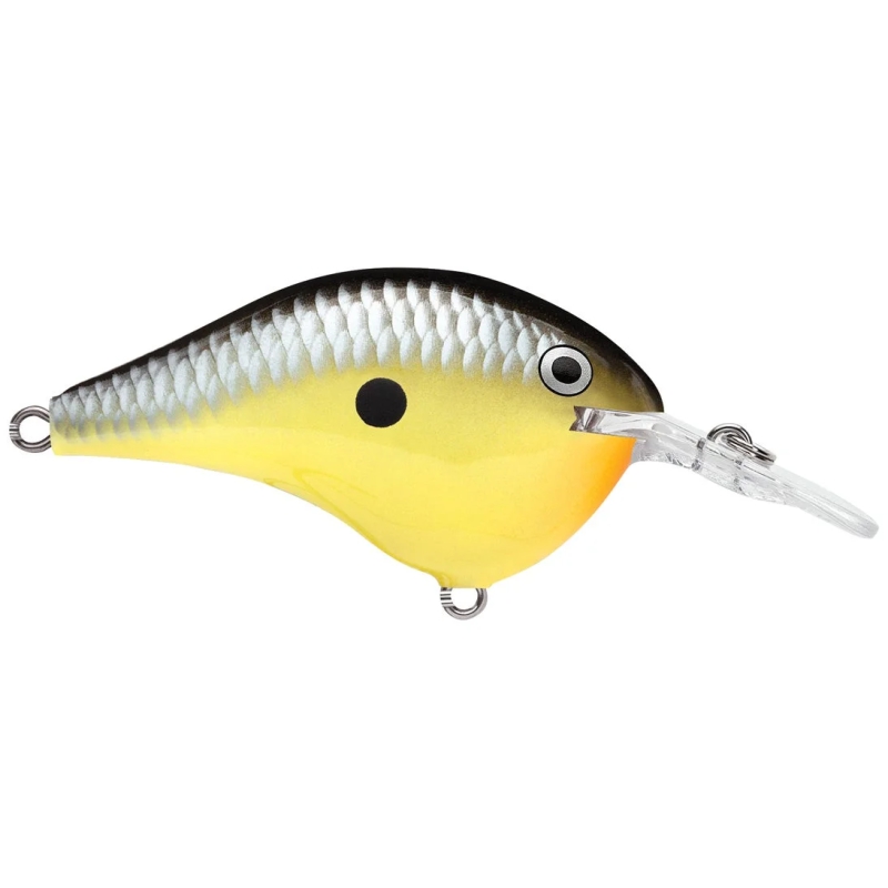 RAPALA CRANKBAIT DT6 OLD...